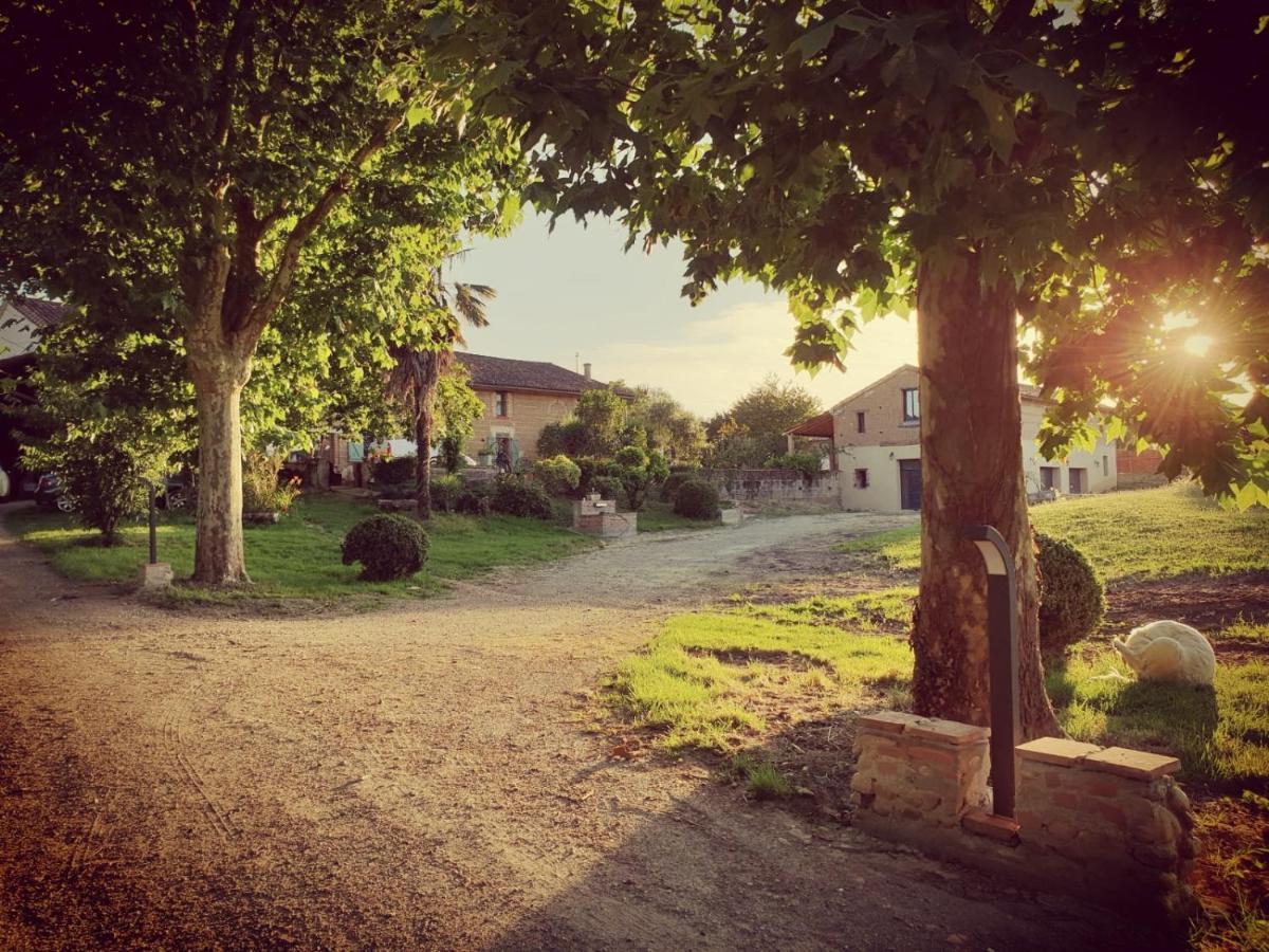 Domaine Des Jammetous - Hotel And Yoga Retreat Center La Magdelaine-Sur-Tarn Luaran gambar