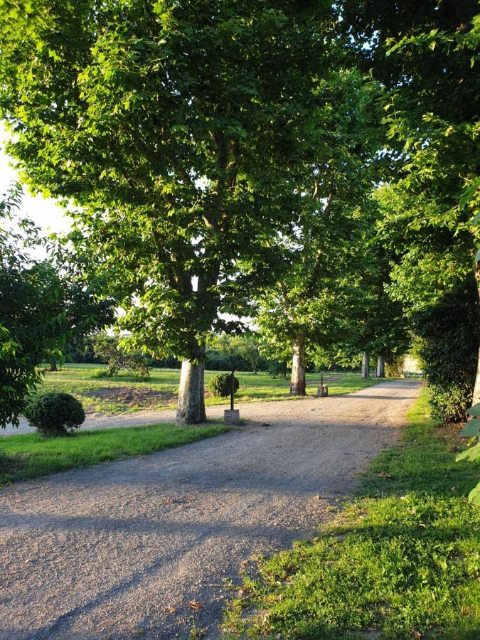 Domaine Des Jammetous - Hotel And Yoga Retreat Center La Magdelaine-Sur-Tarn Luaran gambar